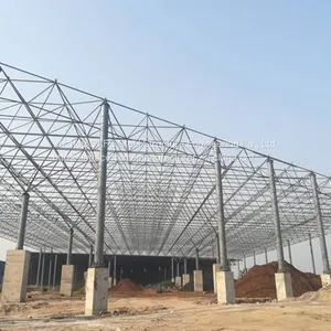 Jiangsu Xu Gang Group New 2# 3# Space Frame Structure Environmental Protection Shed Project thumbnail-3