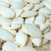 Roasted and Salted Pumpkin Seeds for Sale thumbnail-1