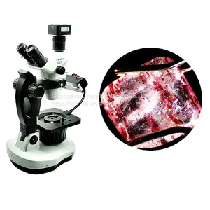 Research Type Digital Gemstone Trinocular Microscope Supplier thumbnail-2