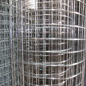 Galvanized+PVC Coated Welded Wire Mesh Rolls - Square Hole Design thumbnail-1