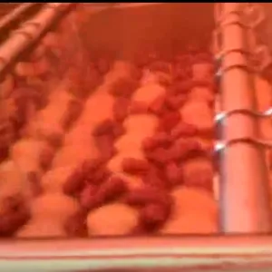 Dehydrated Fruit Vegetable Dehydrated Root &foliage Vegetable Processing Line thumbnail-5