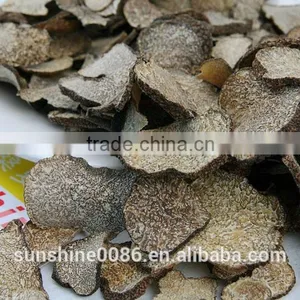 High Quality Black Truffle Mushrooms Mushrooms thumbnail-2