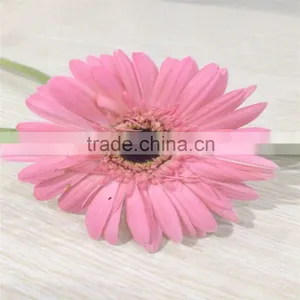 Wholesale Fresh Cut Flower China Gerbera For Decoration High Quality thumbnail-2