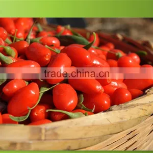 Whole Foods Goji Berry Wholesaler thumbnail-1