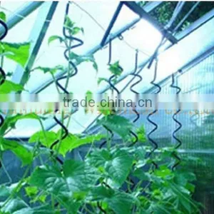 Wholesale Tomato Spiral Stake Indoor Plant Support thumbnail-1