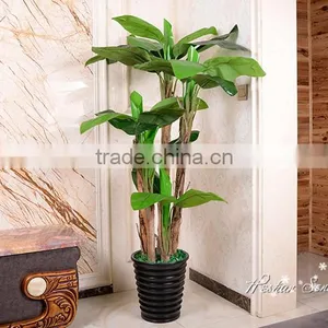 Popular High Quality Low Cost Artificial Banana Tree for Indoor Decoration thumbnail-1