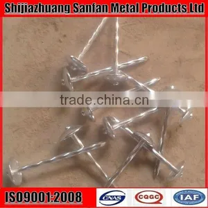 Sell 7lb x 8boxes BWG10X2.5" Galvanized Roofing Nail thumbnail-1