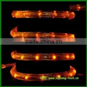 12vdc Led Rope Light High Output Waterproof Led Rope Light 220v thumbnail-1