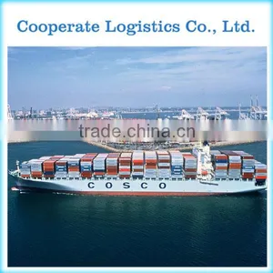 Best Sea Freight Forwarder From Xiamen to Houston----ada Skype:colsales10 thumbnail-4