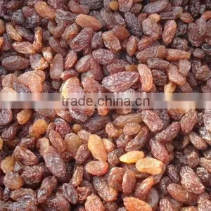 Varies Dried Raisins for Sale thumbnail-1