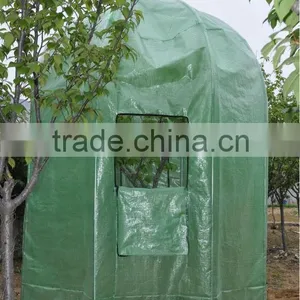 Tree Greenhouse thumbnail-1