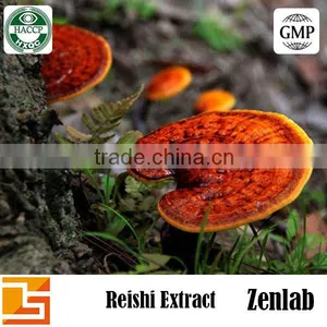 Ganoderma Lucidum for Glossy Ganoderma Spore Oil Soft Capsule and Ganoderma Lucidum Tea thumbnail-1