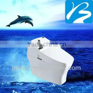 China Importers Intelligent 1-Piece Toilet thumbnail-1