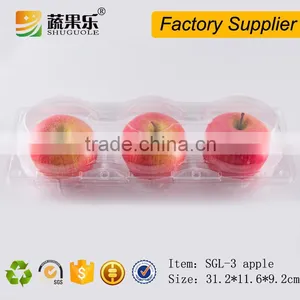 Disposable Blister Box Plastic Fruit Container for 3 Pack of Apple Packaging thumbnail-1