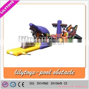 Newest Inflatable Pool Toys, Inflatable Water Toys for the Lake, Crazy Inflatable Water Toys thumbnail-1