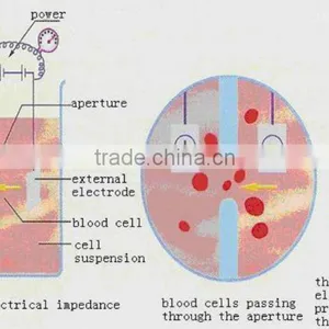 2016 New Fully Automatic Hematology Analyzer Price With 3 Parts thumbnail-3