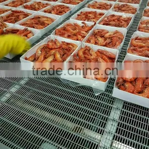 Tiger Prawn Cooked HOSO thumbnail-5