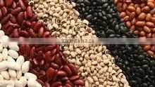 MUNG BEANS thumbnail-6