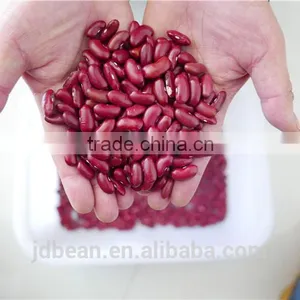 RED DARK KIDNEY BEAN Rajma HPS 200-220PCS/100G thumbnail-2