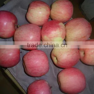 Fresh Apples thumbnail-6