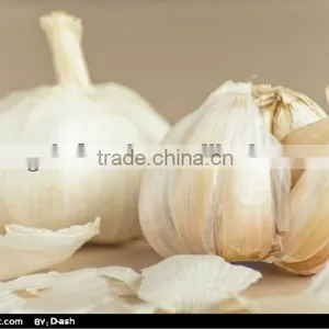 Chinese Fresh Garlic Jinxiang Fresh White Garlic thumbnail-1