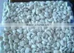 Shandong Fresh Garlic thumbnail-1