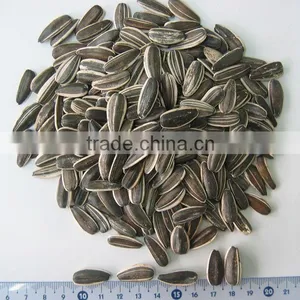 Wholesale Delicious Red Watermelon Seeds thumbnail-4