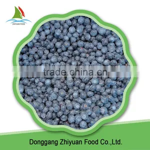 IQF Frozen Blueberry thumbnail-6