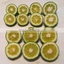 Herbal Extract Type and Hesperidin Powder Extract/Raw Material thumbnail-1