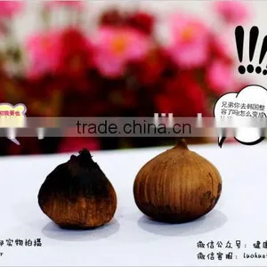Black Garlic Sale thumbnail-1