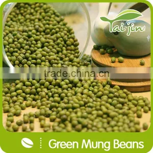 Healthy Green Mung Beans With Competitive thumbnail-5
