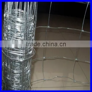 DM Cheap Field Fence ( Anping Factory ) thumbnail-2