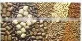 Fish Feed Turn Key Machinery thumbnail-1