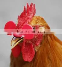 Chicken Eyes Mirror for Sale thumbnail-1