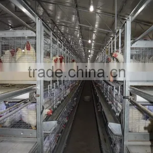Battery Cages thumbnail-4