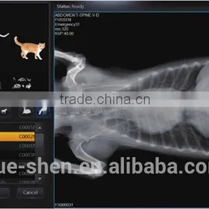 Use for X-ray Machine Detector Digital X-ray Flat Panel Detector thumbnail-6