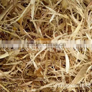 Wood Crusher / Wood Pallet Crusher / Wood Branch Crusher XSGZ-80 thumbnail-4