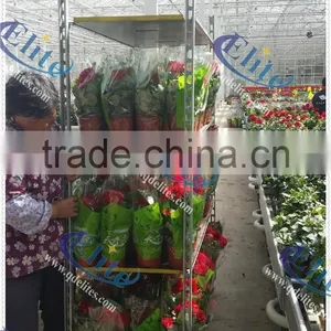 53 Plywood Base For Flower Trolley ,Welding Mesh Base For Flower Trolley, Pot Plant Trolley Base thumbnail-3
