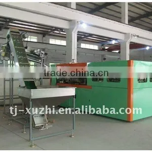 Full Automatic Linear Blow Moulding Machine thumbnail-1
