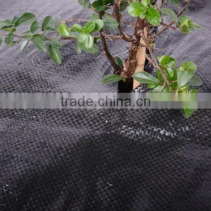 Tree Weed Control Mat thumbnail-1
