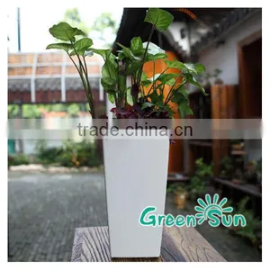 Colourfull Plastic Flower Pots for Garden Decor thumbnail-3