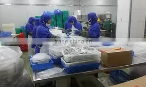 Dandong Galicia Seafood Co., Ltd. company overview - view 3 thumbnail