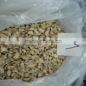 Frozen Boiled Short-necked Clam Meat thumbnail-2