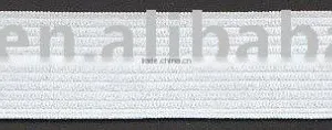 Elastic Webbing thumbnail-1