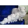 Christmas Supplies and Decorations,christmas Crafts , Christmas Imitated Toy , Christmas Imitated Animals thumbnail-1