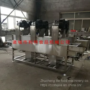 Raisin Washing Line Raisin Cleaner Raisin Processing Equipment thumbnail-4