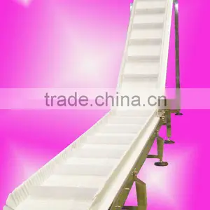 Acclivitous Conveyor for Seeds thumbnail-1