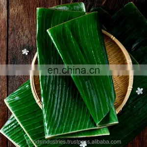 Banana Leaves (Musa Paradisiaca L.) thumbnail-1