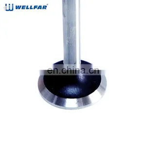 Good Performance Engine Valve for PEUGEOT 206 thumbnail-1