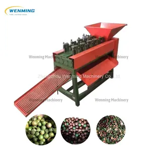 Commerical Macadamia Dehusker Machine Peeler for Macadamia thumbnail-5